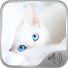 Cute Cat Sonds Free ikon