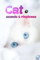 Cute Cat Sonds Free โปสเตอร์