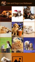 Cats and Dogs Live Wallpaper screenshot 2