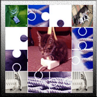 Cute Cats Puzzle Games icon