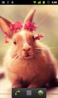 cute bunny live wallpaper اسکرین شاٹ 1