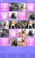 Cute Dogs Memory Matching Game Affiche