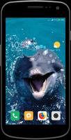 Magic Touch - Dolphin In Water تصوير الشاشة 1