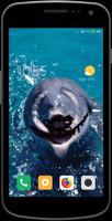 Magic Touch - Dolphin In Water تصوير الشاشة 2
