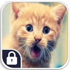 Cute Kitten Cat Lock Screen आइकन