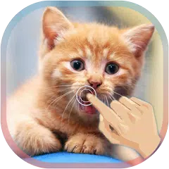 Magic Touch Cat Live WallPaper APK download