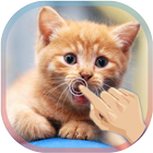 Magic Touch Cat Live WallPaper أيقونة