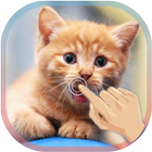 Magic Touch Cat Live WallPaper ícone