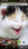 Magic Touch Cat Live WallPaper تصوير الشاشة 3