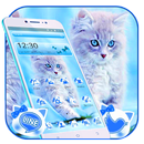 Cute Ice Blue Cat Theme APK