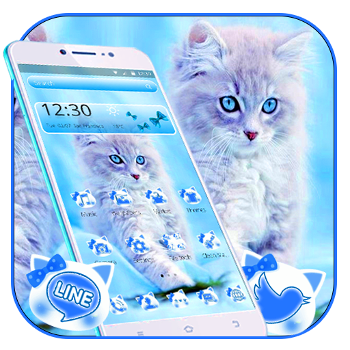 Cute Ice Blue Cat Theme