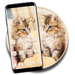 Cute Live Cat Theme APK download