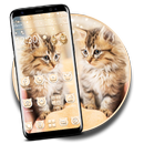 Cute Live Cat Theme APK