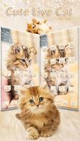 Cute Live Cat Theme पोस्टर