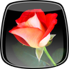 wallpapers mothers day wallpapers mothers day