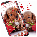 Cute Puppy With Love Rose Theme