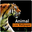 Cute Animal Live Wallpaper - Animal Gif Wallpaper APK