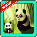 cute baby panda wallpaper HD APK