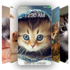 Android 用の かわいい猫の壁紙とロック画面qhd Apk をダウンロード