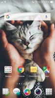2 Schermata Cute Cat Wallpaper & Lock Screen QHD