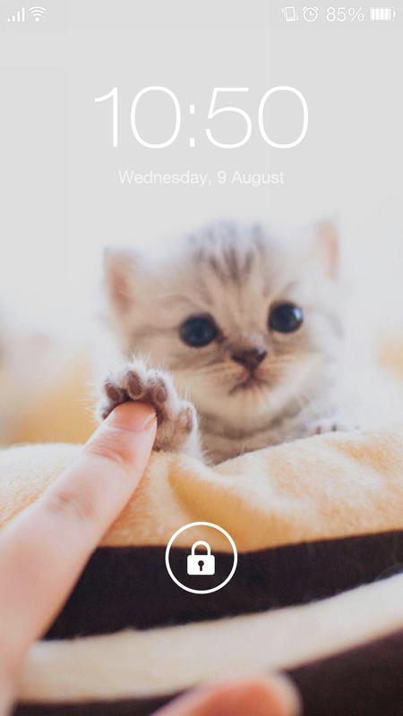 Cute Cat Wallpaper Lock Screen Qhd For Android Apk Download