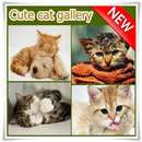 Cute Cat Gallery APK