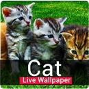 Cute Cat Live Wallpaper-Animated Cat HD Wallpaper APK