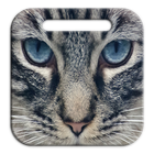 Cats Lock Screen Themes icône