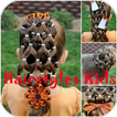 Hairstyles Kids