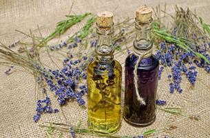 Essential Aromatherapy imagem de tela 2