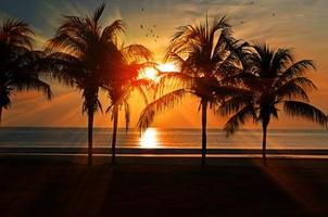 Summer Vacations Tips 截图 2