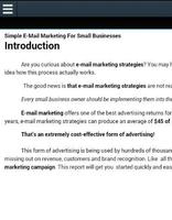 Small Business Marketing Ebook স্ক্রিনশট 2