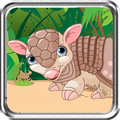 Armadillo Race