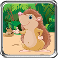 Porcupine Race Landak