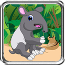 Tapir Race APK