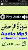Free Surah Rahman Audio Mp3 capture d'écran 1