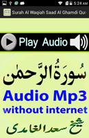 Free Surah Rahman Audio Mp3 capture d'écran 2