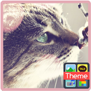 Spring Cat (S) APK