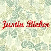 Justin Bieber Tour Schedule Cartaz