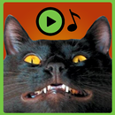 Angry Cat sounds Soundboard APK
