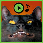 Angry Cat sounds Soundboard icône