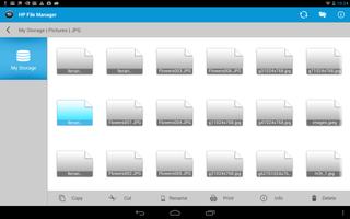 HP File Manager Affiche