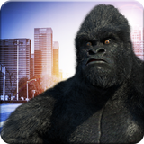 Monkey Kong City Attack 2017 icône
