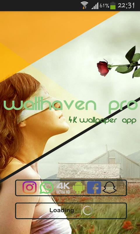 Wallhaven Pro APK for Android Download Wallhaven Pro APK for Android Download