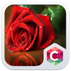 Red Rose: Best Flower Theme APK download