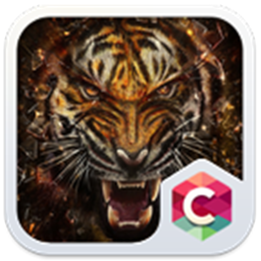 Wild Tiger Big Cats Animal Theme