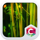 Beautiful Nature Forest Theme icon