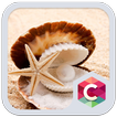 Sea Shell Theme
