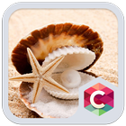 Sea Shell Theme icône