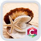 Sea Shell Theme icon